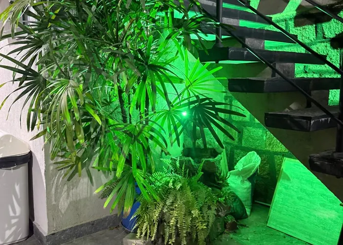 Apartamento Apto Surfe Perto De Tudo, Mercado, Barzinhos, Farmácia, Shopping Porto Alegre